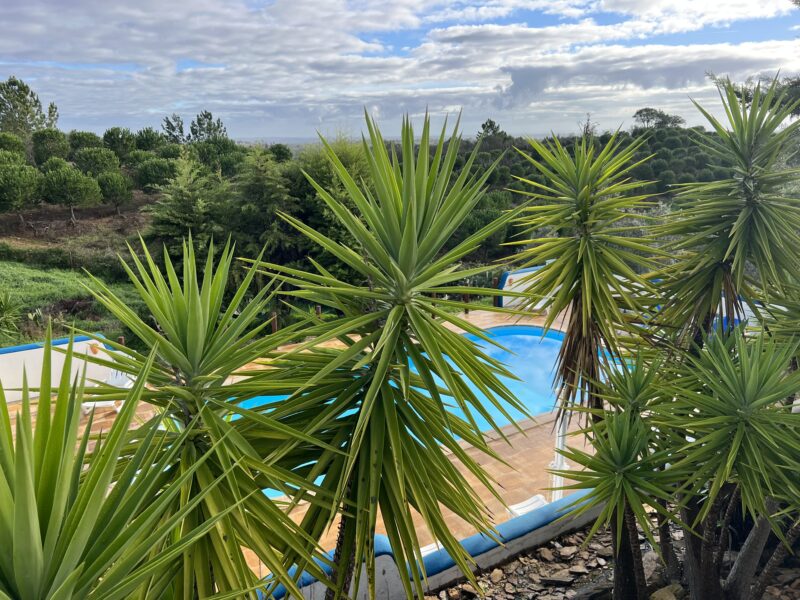 RETREAT im ALENTJO , MOINHOS do PANEIRO