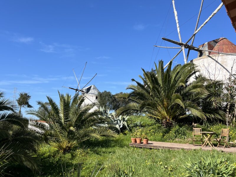 RETREAT im ALENTJO , MOINHOS do PANEIRO