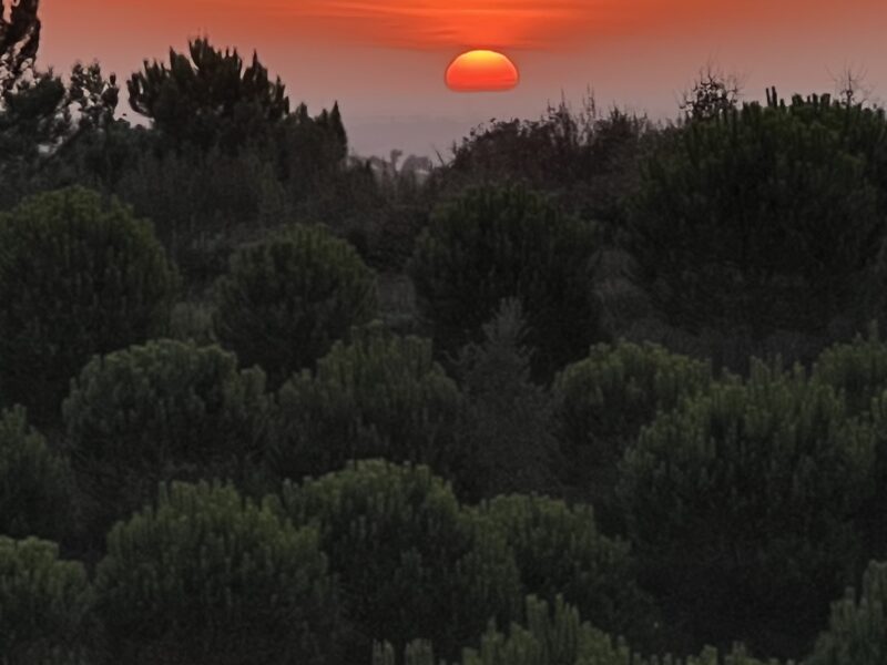 RETREAT im ALENTJO , MOINHOS do PANEIRO