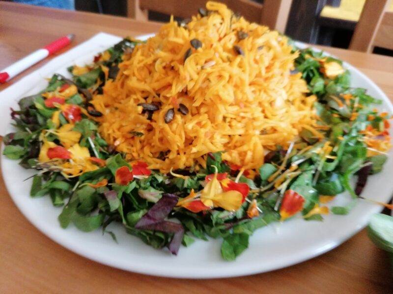 Das Waldkraftresort Vitaleum ist ein außergewöhnlicher Ort, um bei Dir anzukommen.