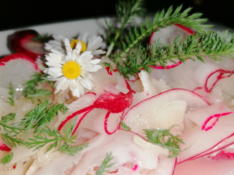 Das Waldkraftresort Vitaleum ist ein außergewöhnlicher Ort, um bei Dir anzukommen.