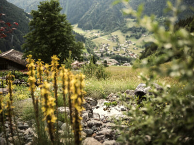 Ein Rückzugsort in der Natur – Dein Retreat im Tanafreida Berg-Refugium