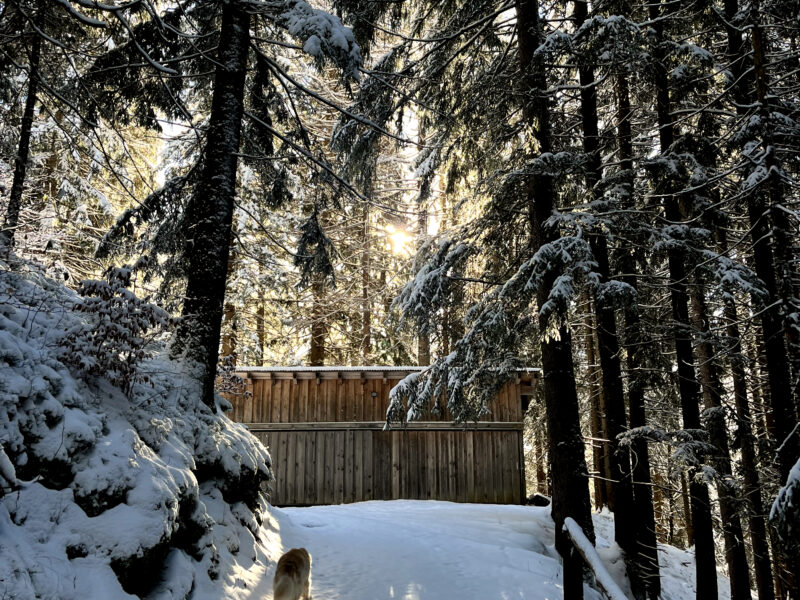 Ein Rückzugsort in der Natur – Dein Retreat im Tanafreida Berg-Refugium