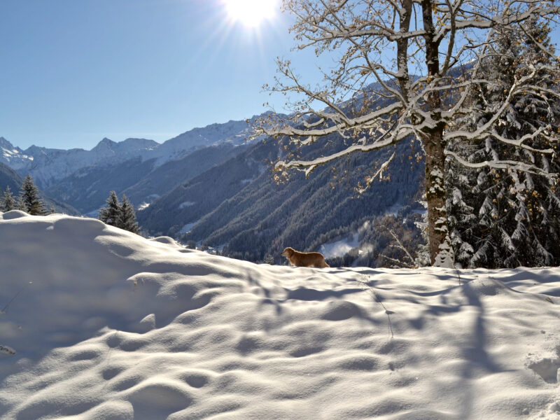 Ein Rückzugsort in der Natur – Dein Retreat im Tanafreida Berg-Refugium