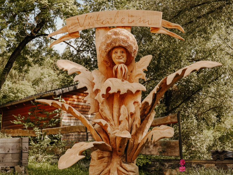 Das Waldkraftresort Vitaleum ist ein außergewöhnlicher Ort, um bei Dir anzukommen.