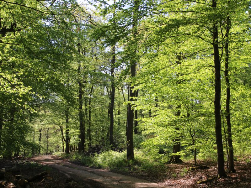 SAMPURNA Seminarhaus