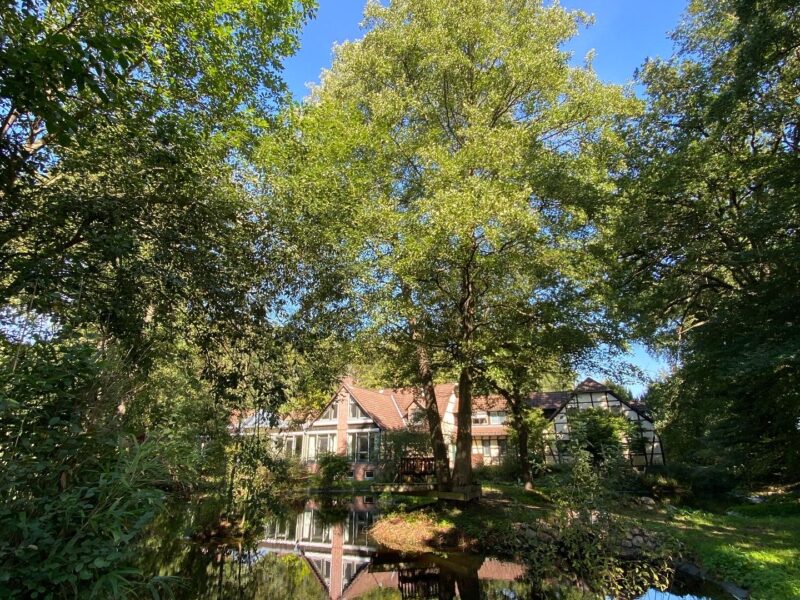 Ellernhof Retreatcenter - Ankommen - Loslassen - Aufblühen