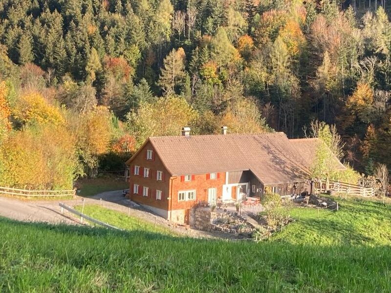 Ruhedomizil Meschach 4