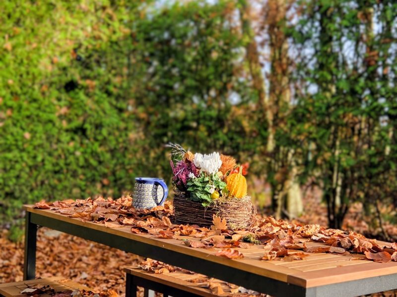 Donkey Oaks Seminarhaus