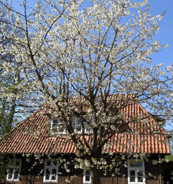 Donkey Oaks Seminarhaus