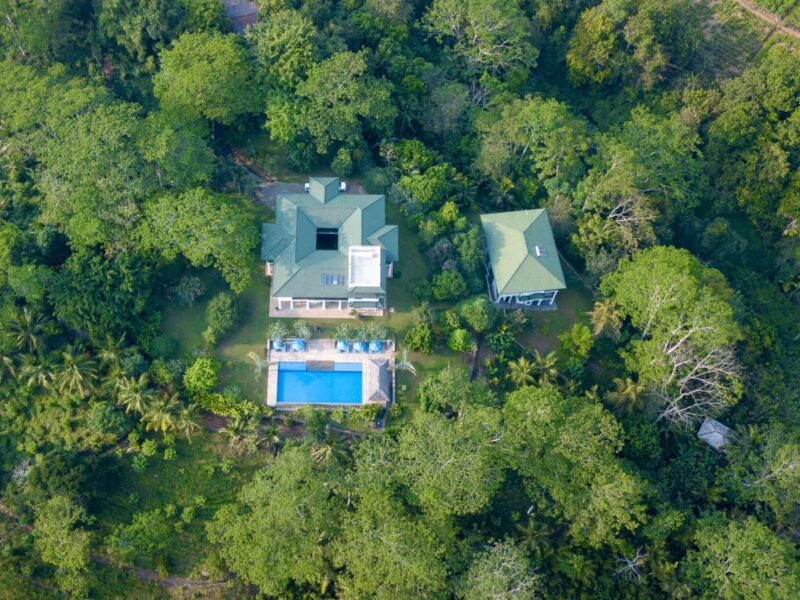 Niyagama House - dein Retreat in der Teeplantage