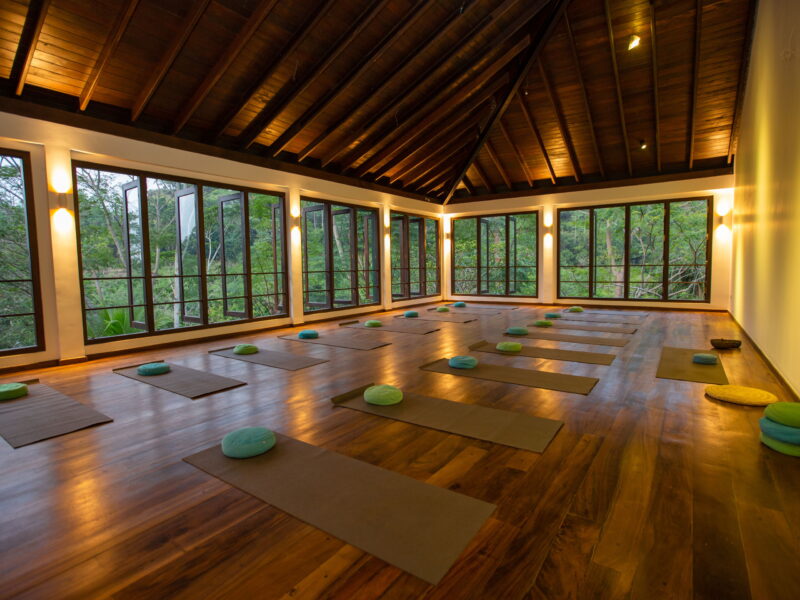 Niyagama House - dein Retreat in der Teeplantage