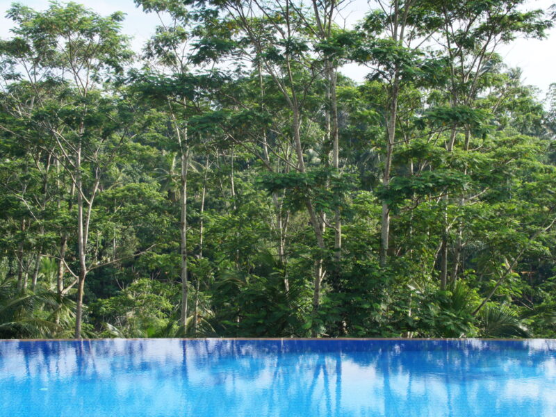 Niyagama House - dein Retreat in der Teeplantage