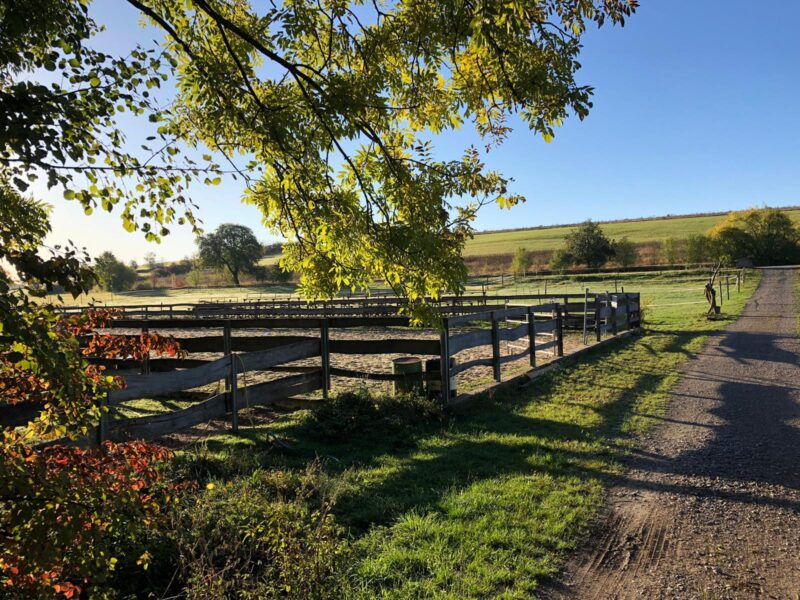 Old West Ranch