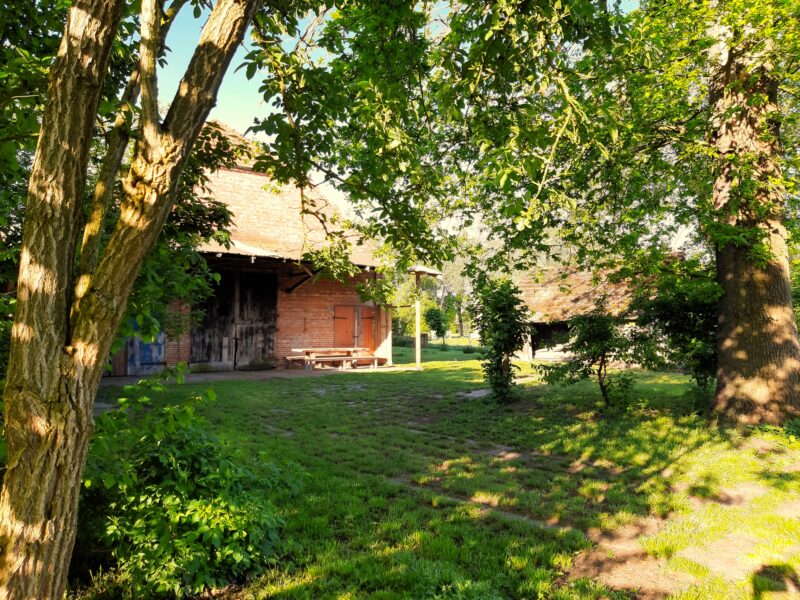 LüttenHof Mecklenburg, Griese Gegend
