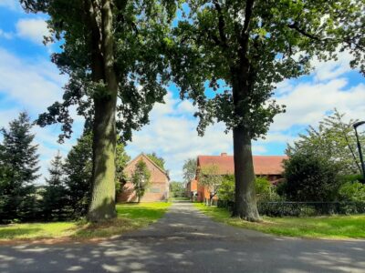LüttenHof Mecklenburg, Griese Gegend