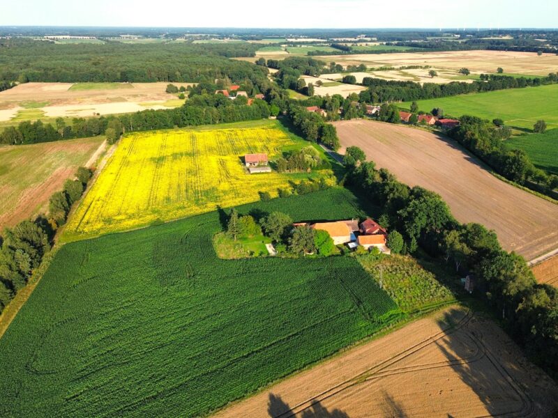 LüttenHof Mecklenburg, Griese Gegend