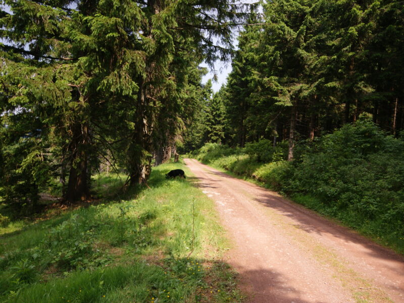 Der Kolmenhof - dein Ort an der Quelle