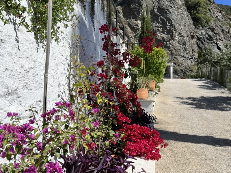 Cortijo Pura Paz Retreat