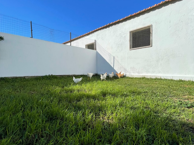 QUINTA DAS MALHADAS RETREAT FARM