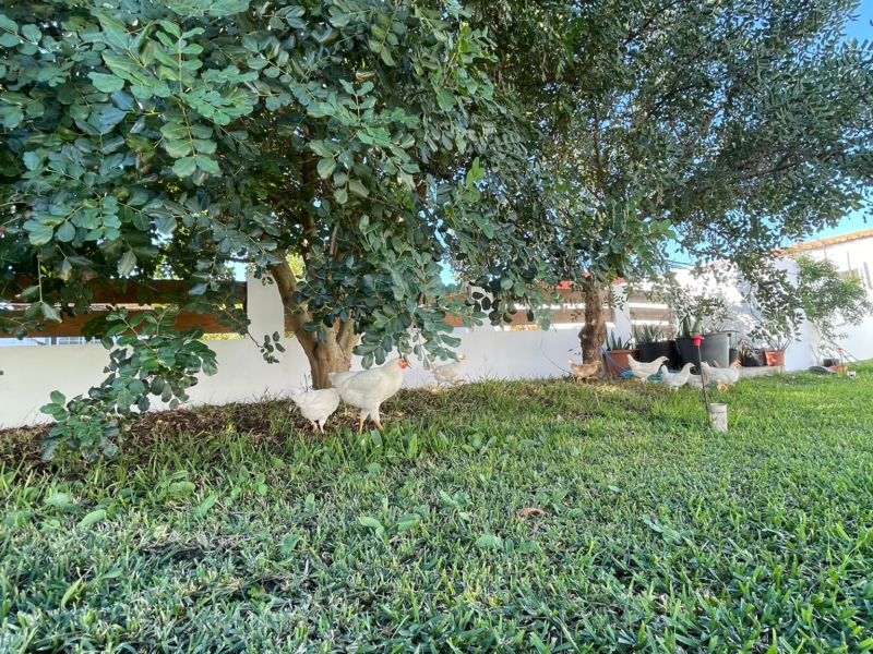 QUINTA DAS MALHADAS RETREAT FARM